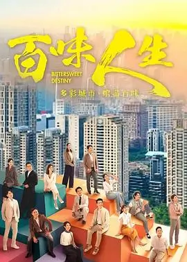 追风者 剧集海报
